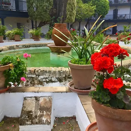 Apartment Andalusian Courtyard Sevilla