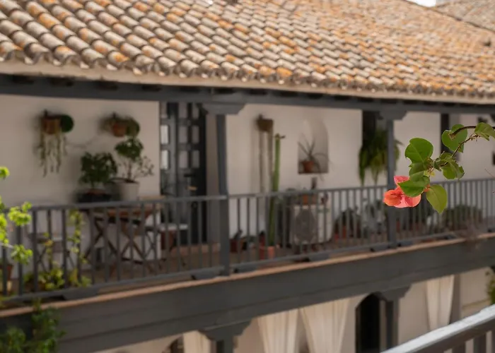 Andalusian Courtyard