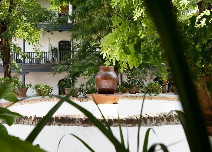 Andalusian Courtyard *