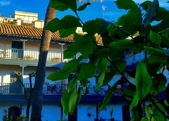 Andalusian Courtyard Seville
