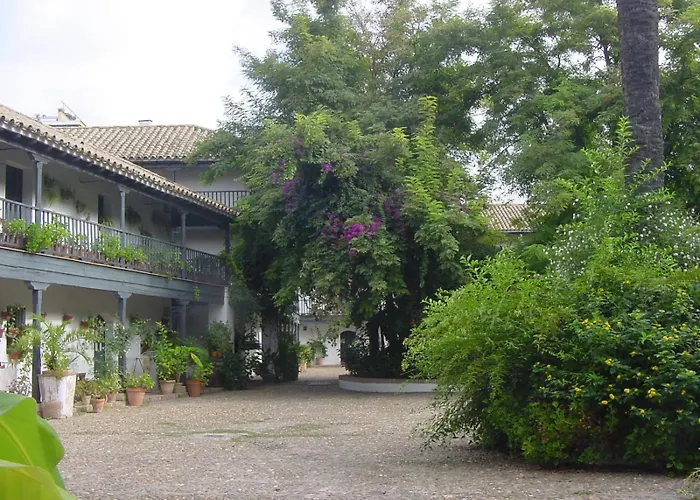 Andalusian Courtyard