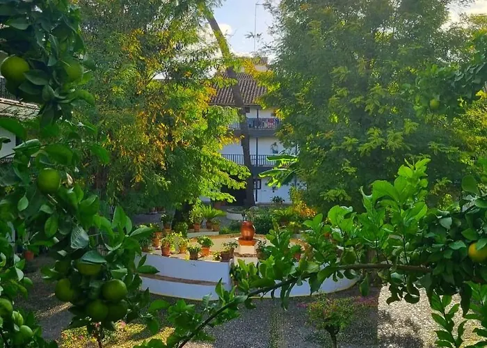 Andalusian Courtyard Apartment Seville