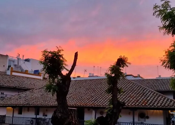 Andalusian Courtyard Seville