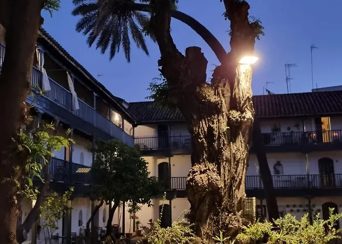 Andalusian Courtyard