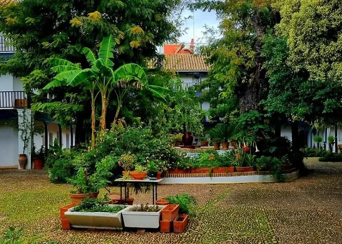 Andalusian Courtyard Apartment