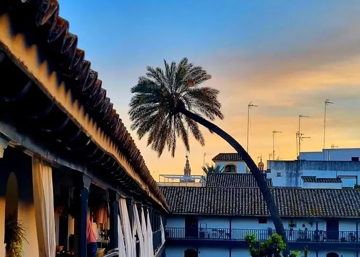 Apartment Andalusian Courtyard