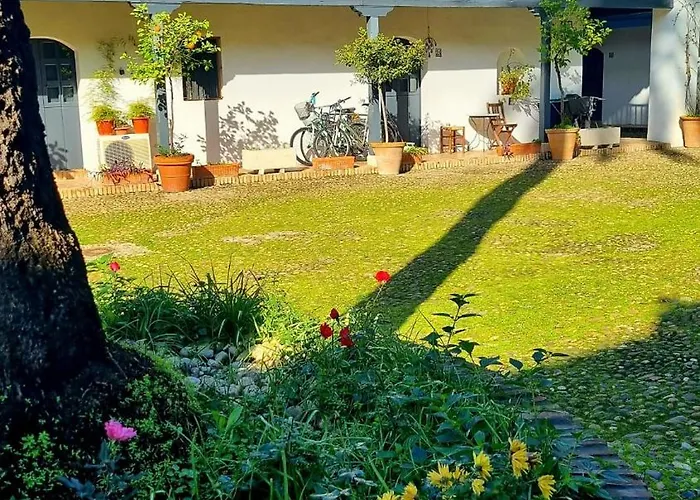 Andalusian Courtyard Seville