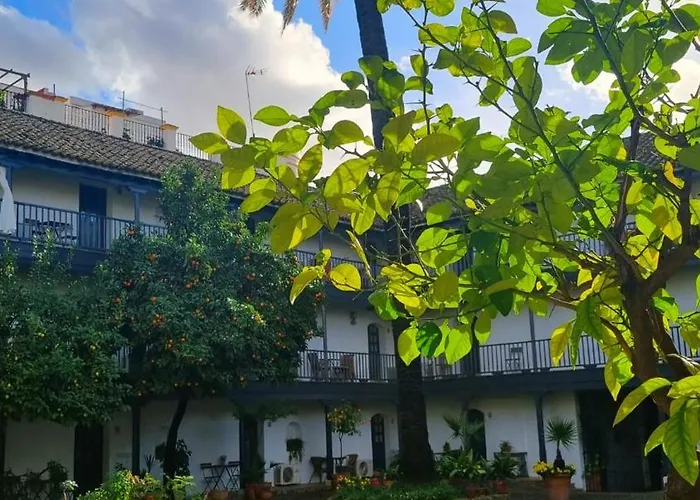 Apartment Andalusian Courtyard