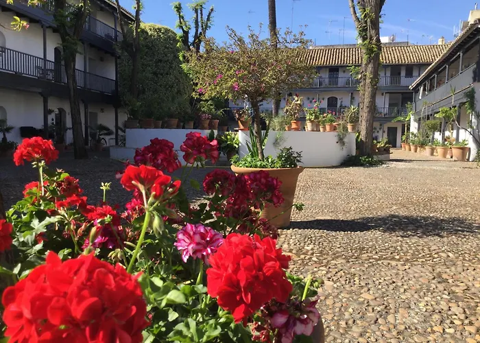 Apartment Andalusian Courtyard *