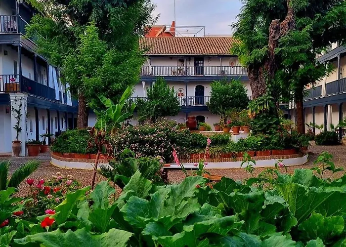 Andalusian Courtyard *