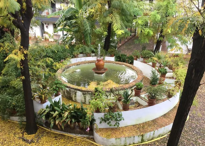 Andalusian Courtyard Apartment